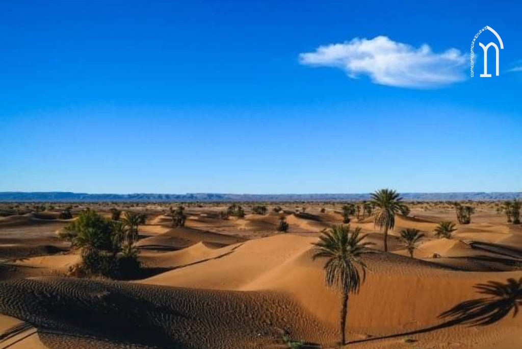 Experience Sahara