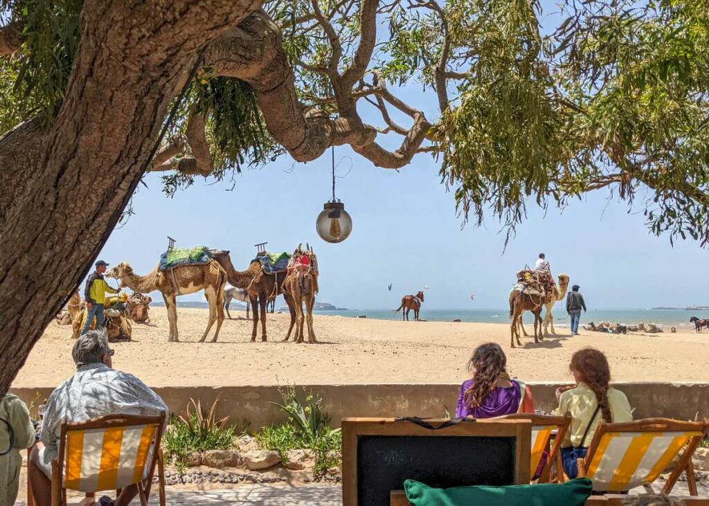 Luxury beachfront dining experience in Essaouira, Morocco – restaurant with feet in the sand and Atlantic views