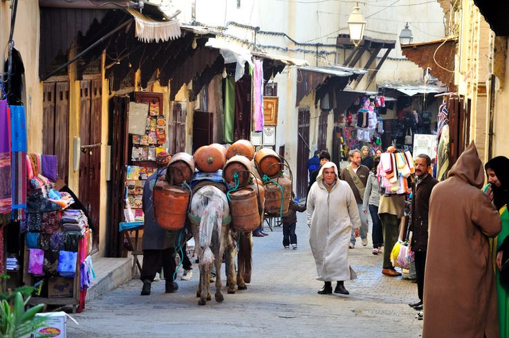 Private guided tour through the winding streets of Fès medina with expert local guide – luxury cultural experience in Morocco