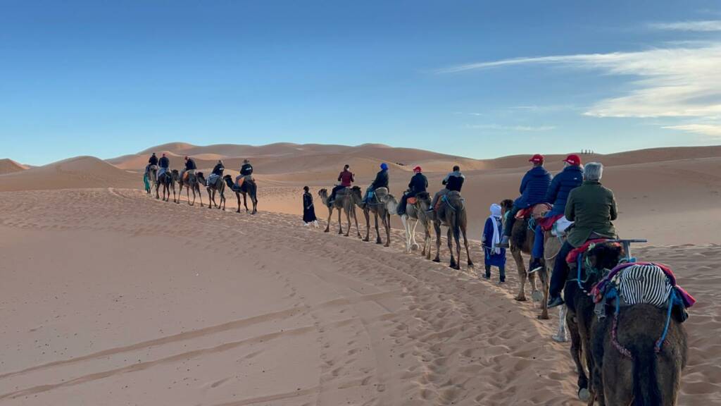 Luxury desert excursion in Morocco with a group riding camels, organized by Morocco Luxury Highlights