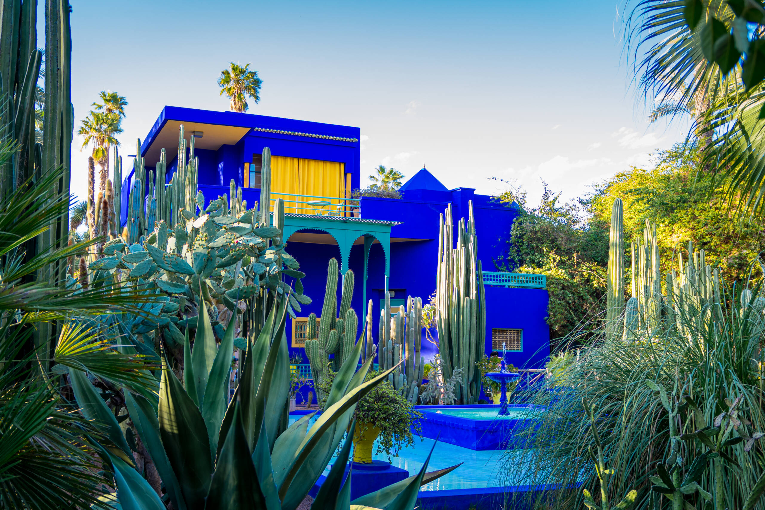 Vivid blue building and garden of captus and exotic plants. Majorelle Garden. Concept of travel and architecture. Marrakech, Morocco