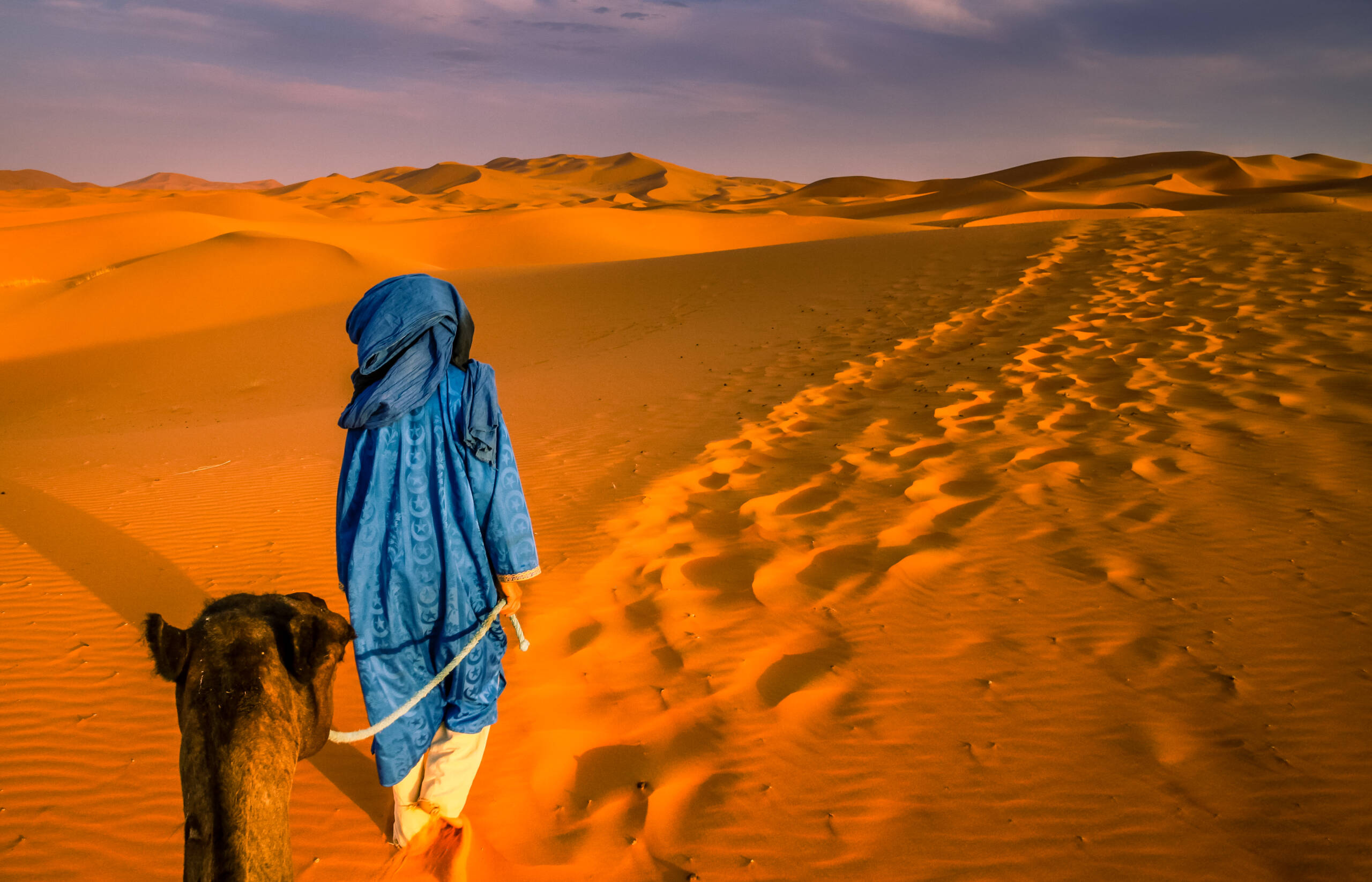 Berber leading a camel into the stunning sand dunes of Sahara desert in Merzouga, Morocco