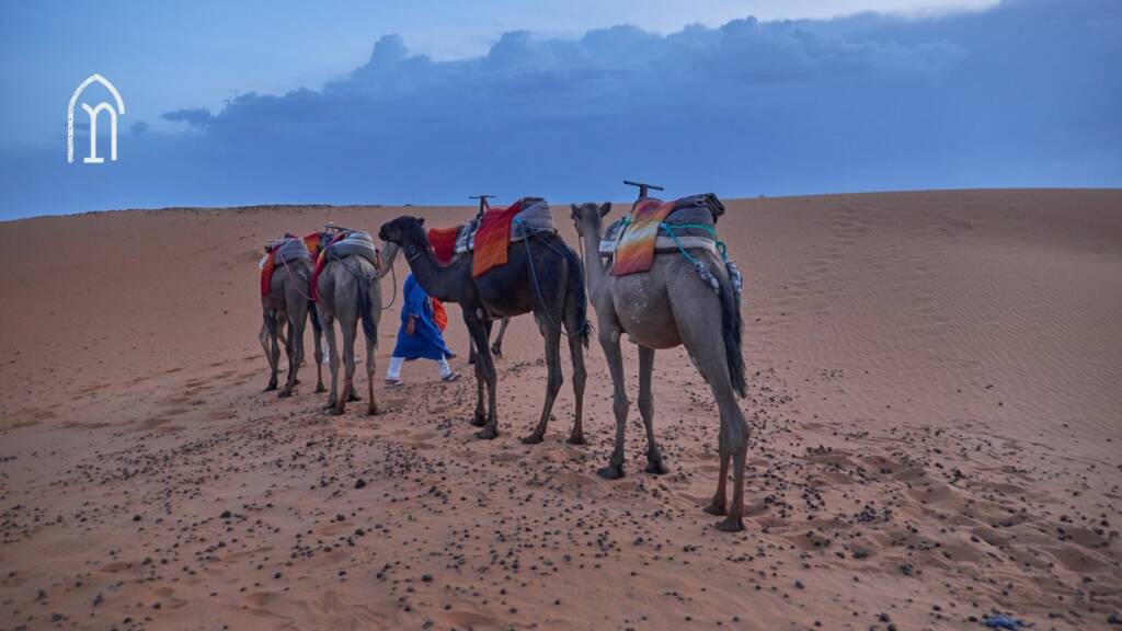 Cities to Visit in Morocco for the First Time