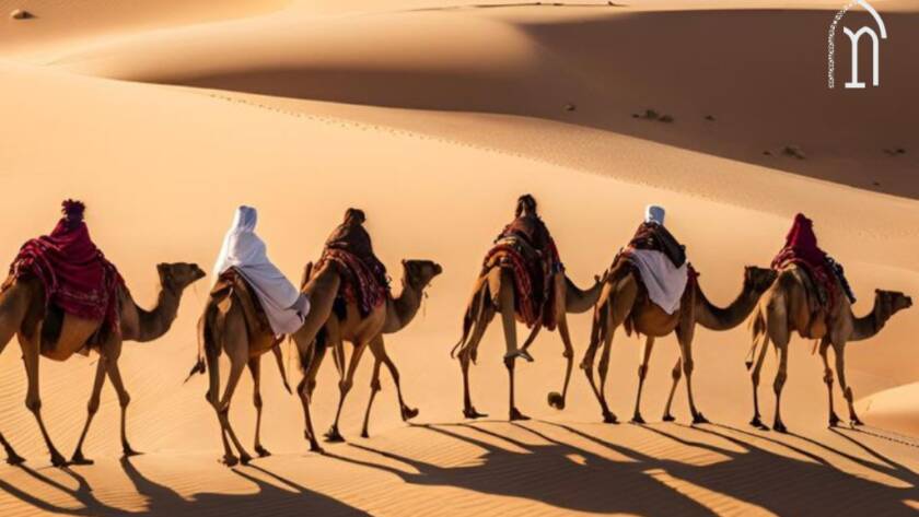 Morocco's best luxury desert camps guide