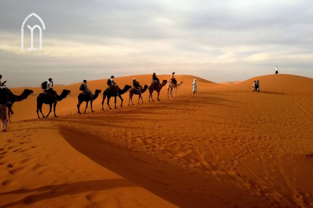 Traveling to the Sahara Desert