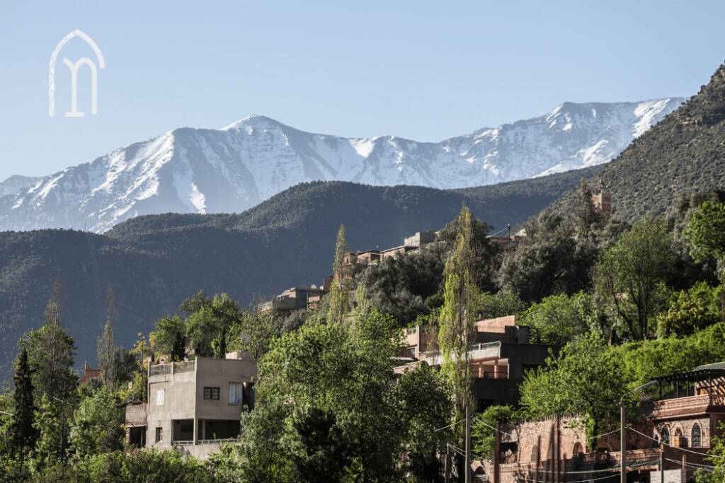 Beauty in Every Corner