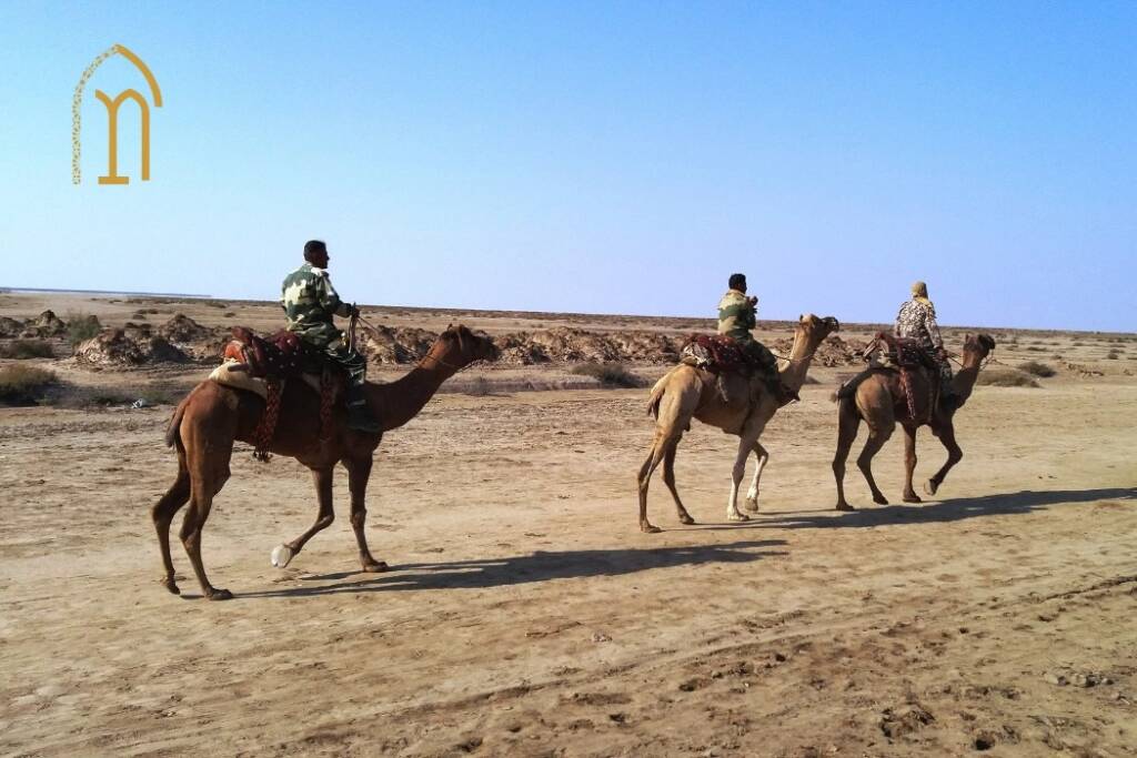 Time Management and Travel Pace