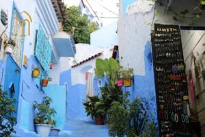 The Medina Experience Across Imperial Cities