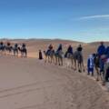 Best Luxury Desert Camps in Merzouga – A Complete Tour Guide