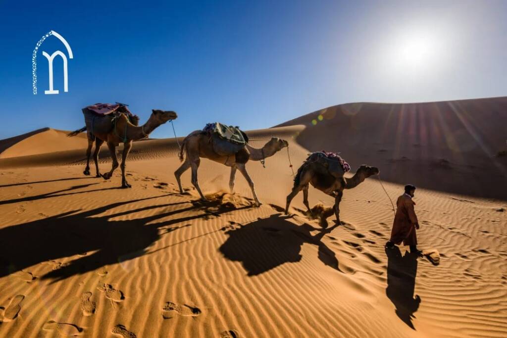 Distance from Marrakech