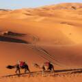 Merzouga vs Zagora: Best Morocco Desert in 2026 Guide