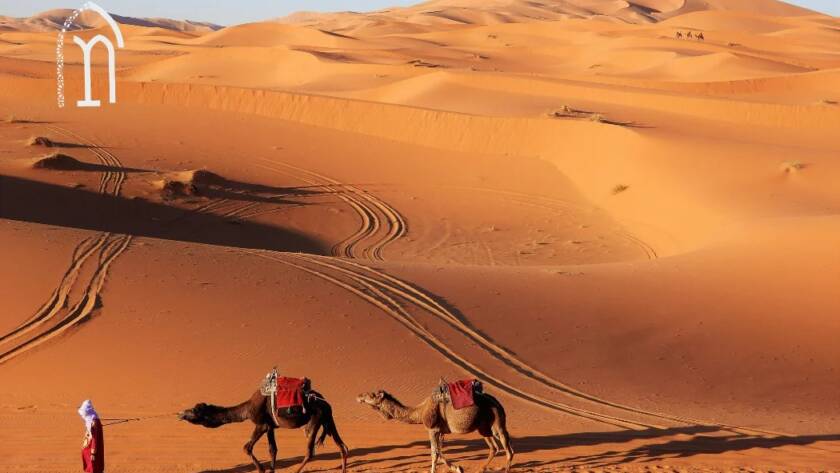 Merzouga vs Zagora Locations