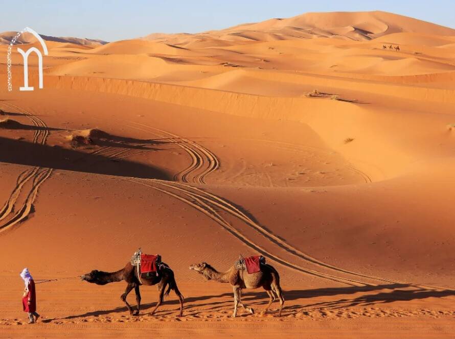 Merzouga vs Zagora Locations