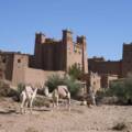9 Most Beautiful Kasbahs in Morocco to Visit in 2026