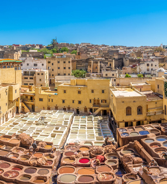 Artisan leather workshop in Fès, Morocco, showcasing traditional dyeing techniques and craftsmanship. Experience the authentic culture and vibrant colors during an exclusive private tour in Morocco