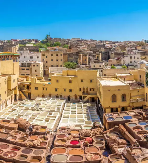 Leather tanneries in Fès visited with a private licensed guide